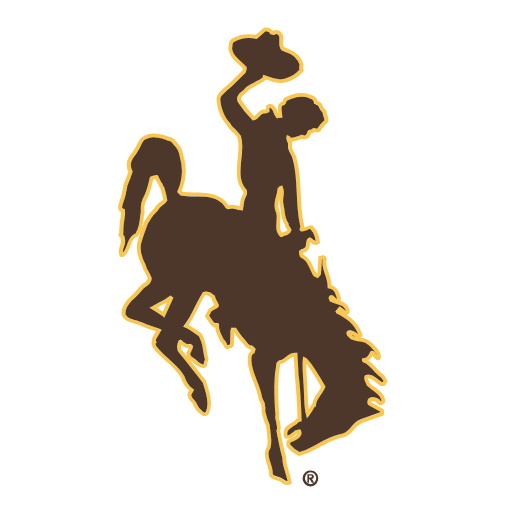 Wyoming Cowboys Hoodies
